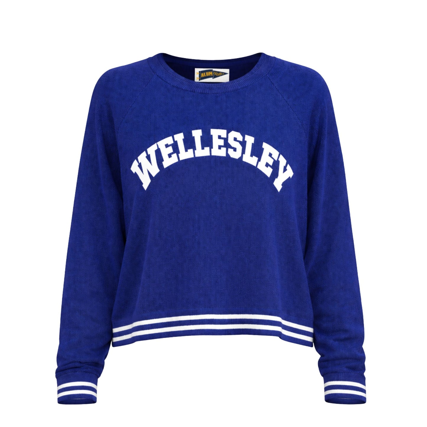 Blue sweatshirt with 'Wellesley' text on a white background