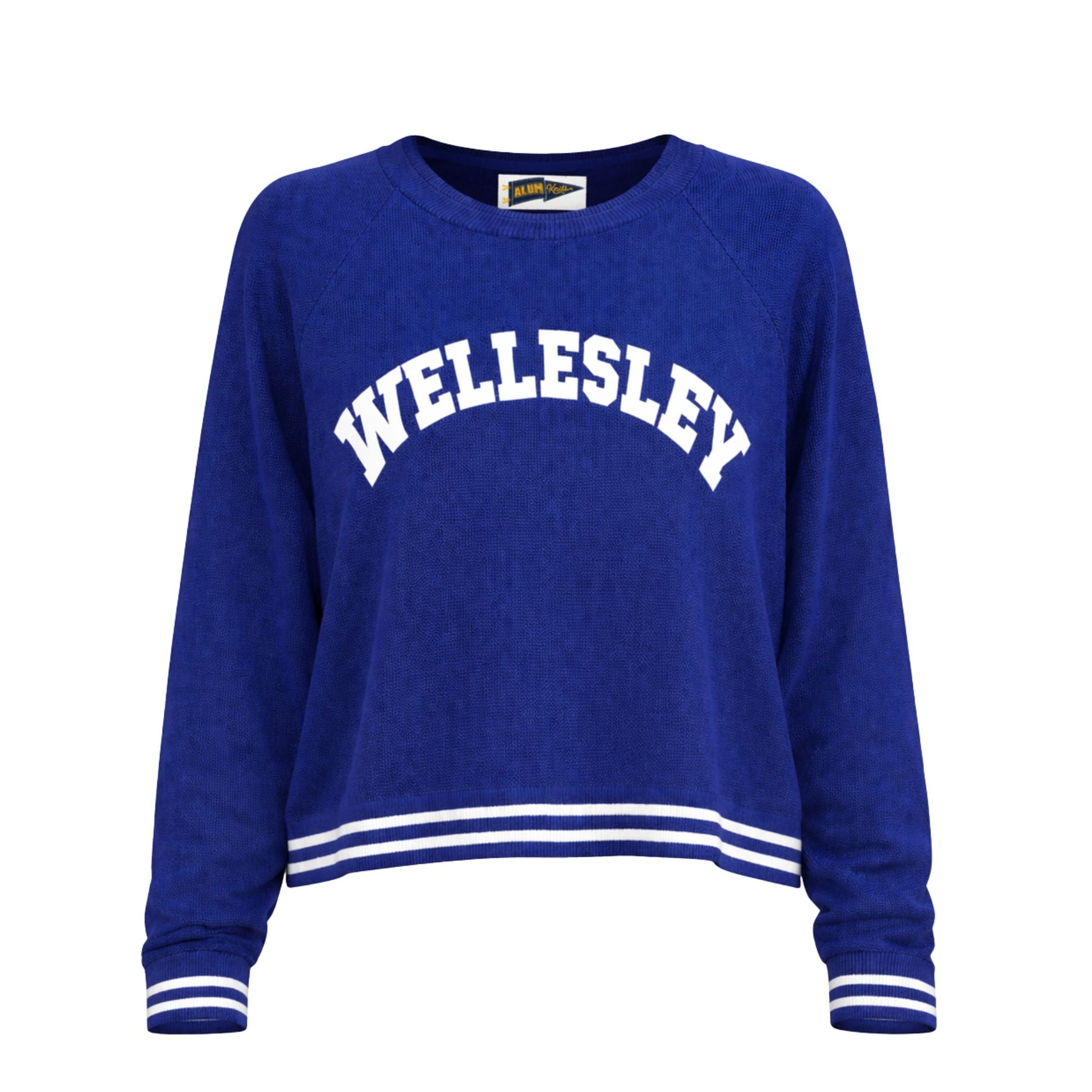 Blue sweatshirt with 'Wellesley' text on a white background