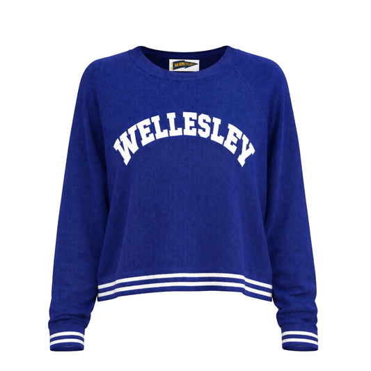 Blue sweatshirt with 'Wellesley' text on a white background