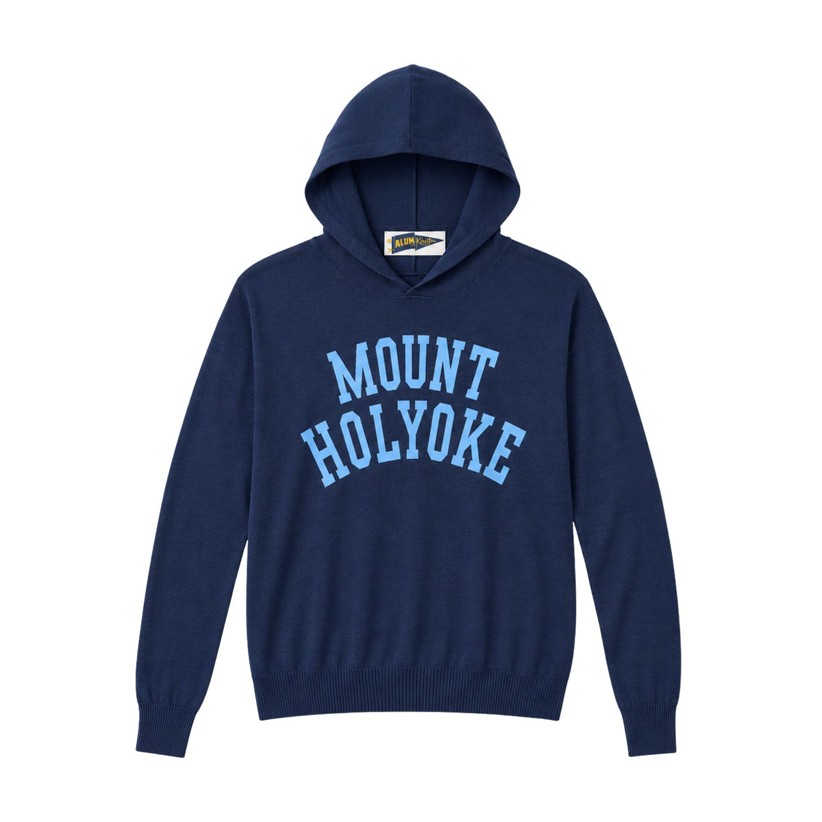 A navy blue pullover hoodie with 'MOUNT HOLYOKE' printed in light blue arched block letters across the chest, displayed on a clean white background.
