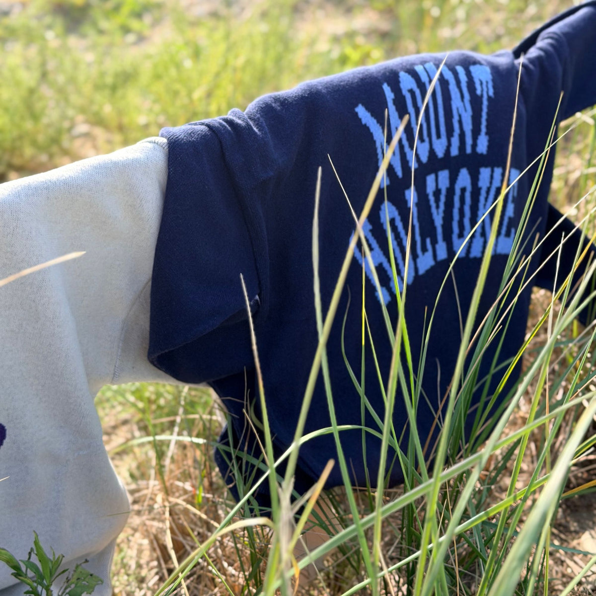A navy blue hooded sweater with 'MOUNT HOLYOKE' printed in light blue across the chest, draped outdoors in tall grass alongside a light gray sweater.