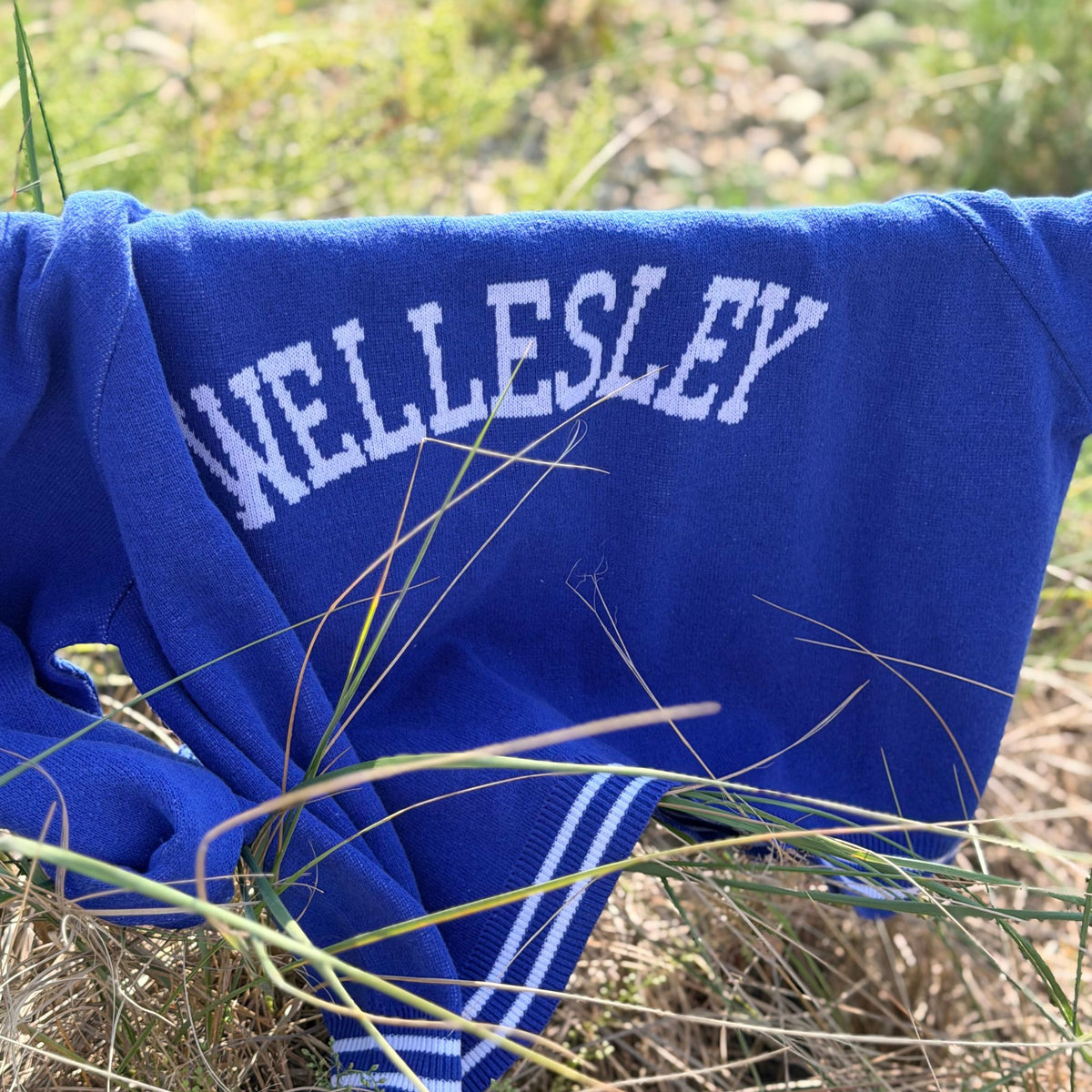 A royal blue knit sweater with 'WELLESLEY' in white varsity lettering, draped outdoors in dry grass.