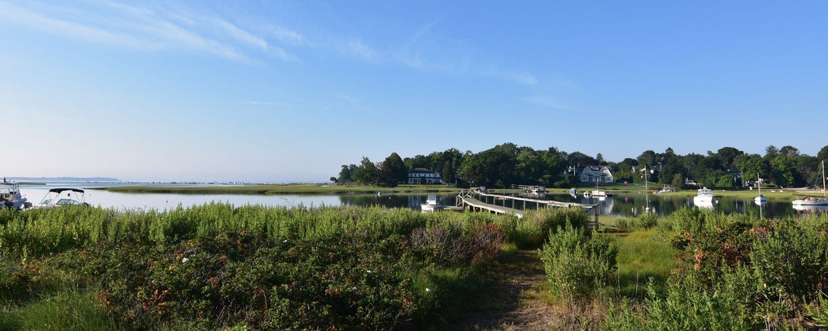 A scenic coastal landscape with a narrow dirt path leading through green marsh grass toward a wooden dock and calm water, with trees, houses, and small boats in the distance under a clear blue sky.